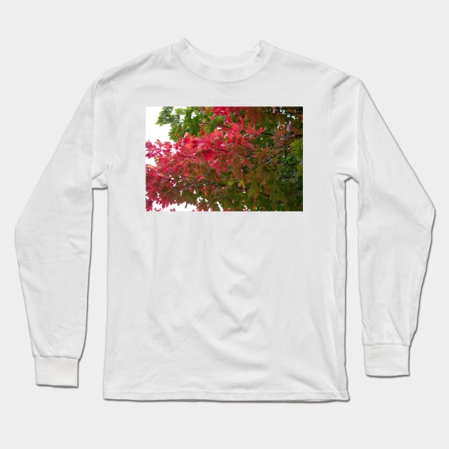 Red green autumn maple leaves Long Sleeve T-Shirt by Beccasab photo & design